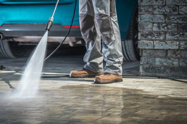 Best Dumpster Area Cleaning  in Elmsford, NY